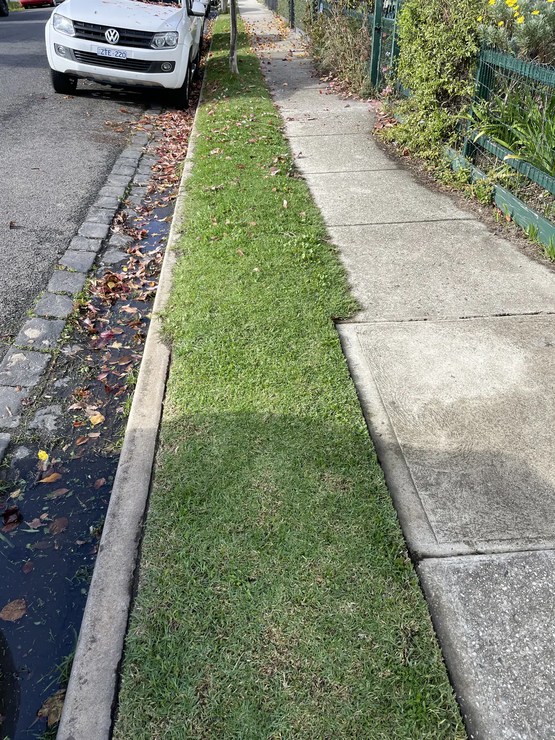 Lawn edge cut cleanly beside paving