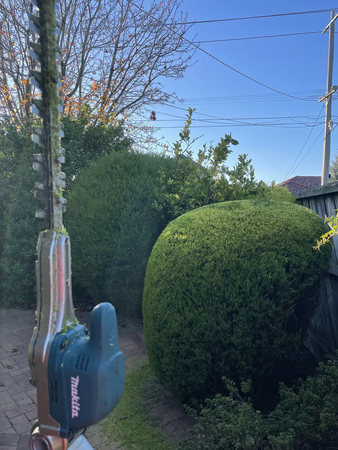 Hedging work