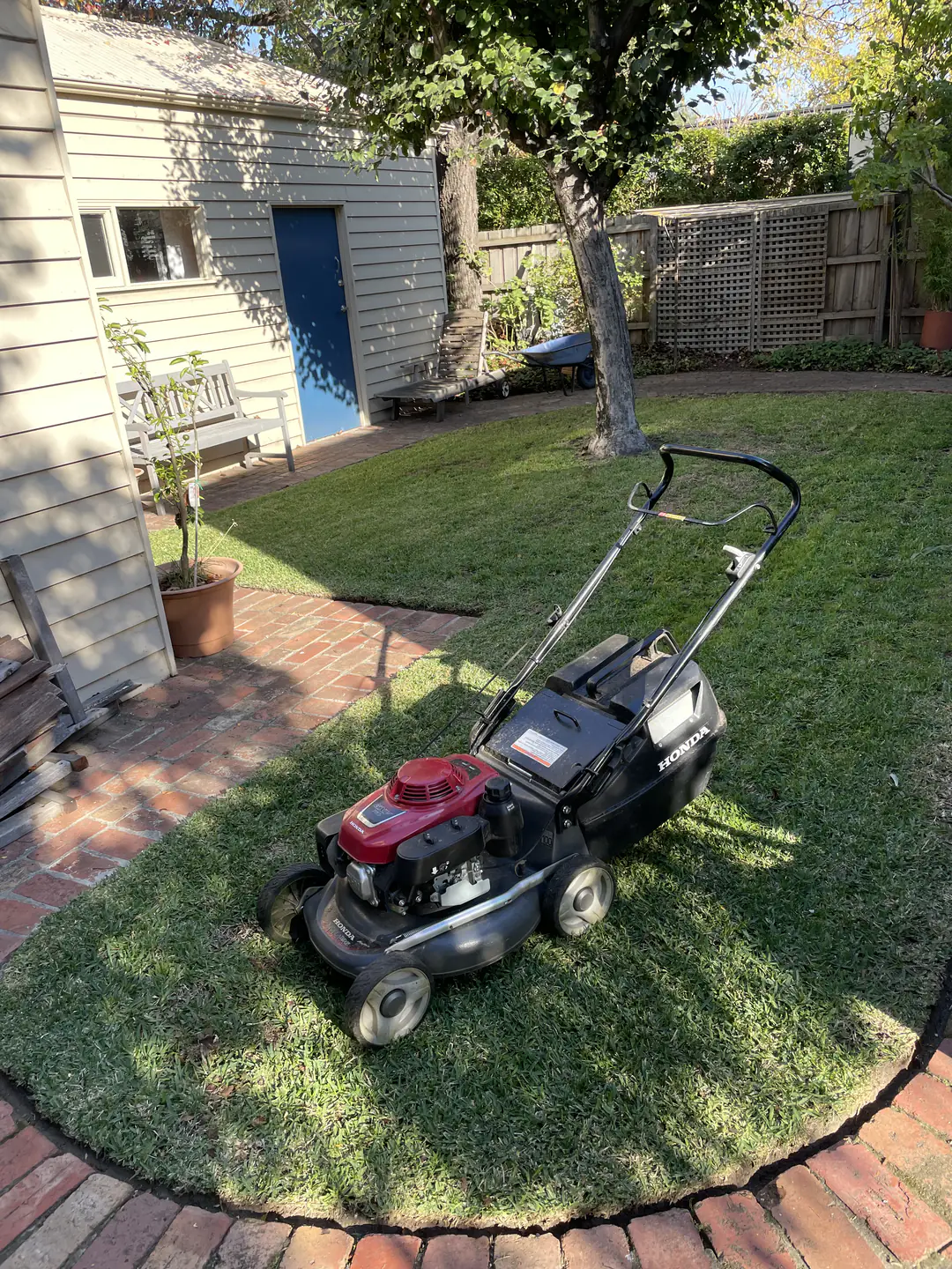 Freshly maintained lawn