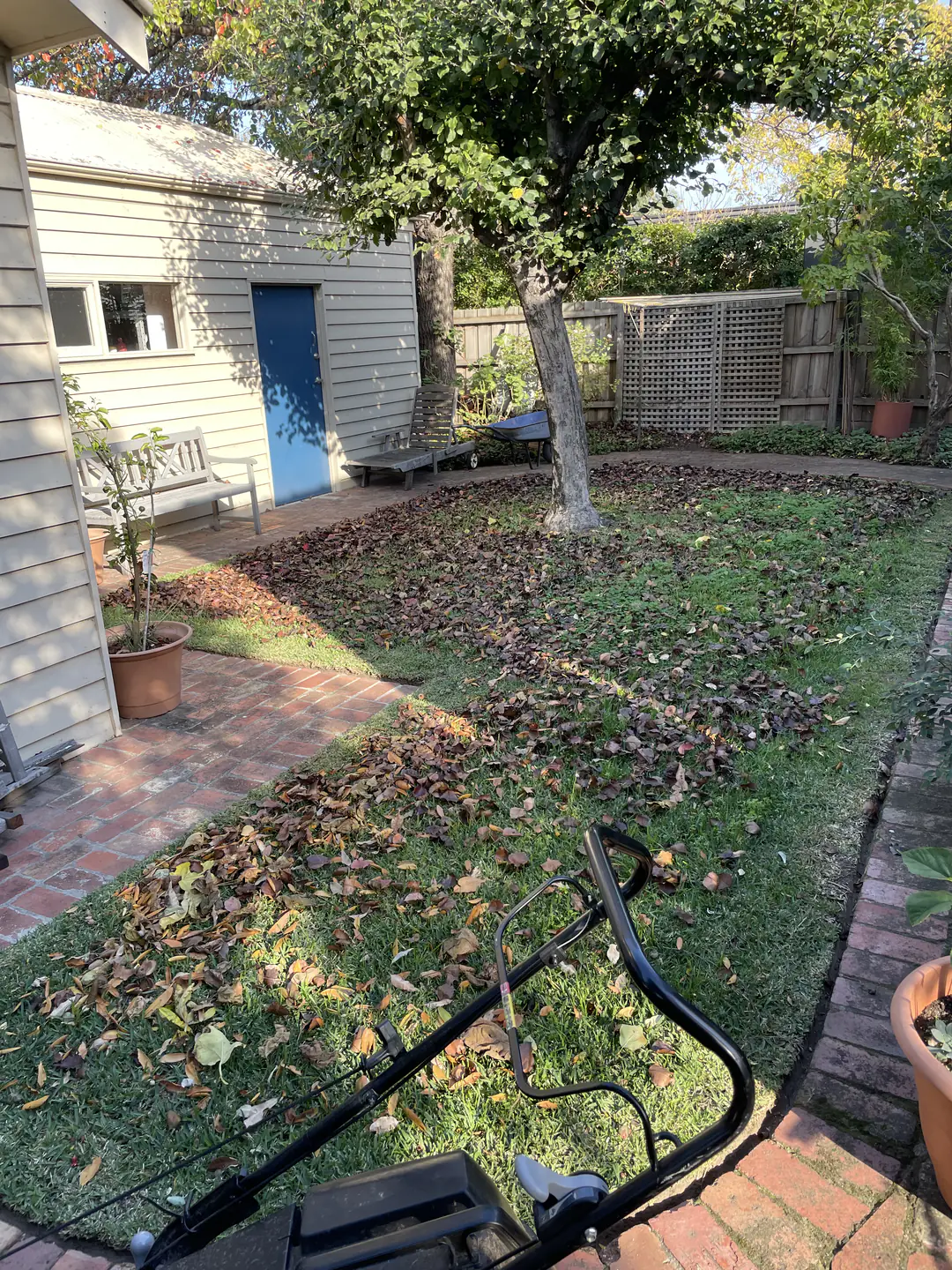 Lawn before garden care