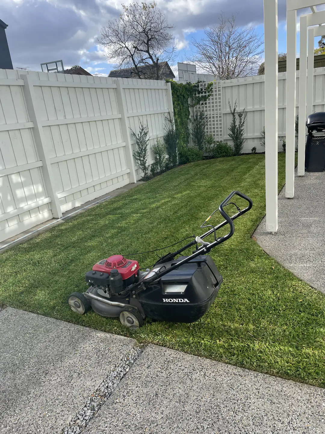 Freshly maintained residential lawn