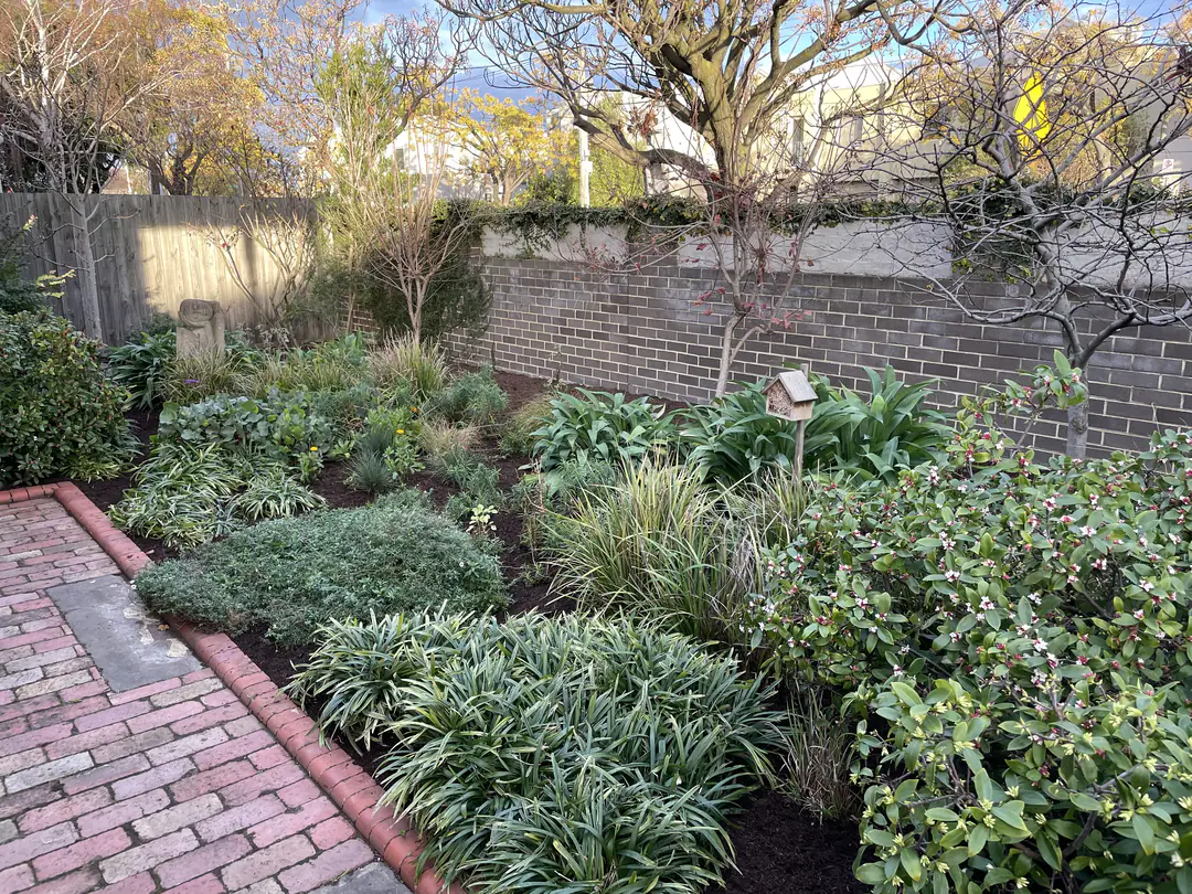 Fresh mulch in a garden bed