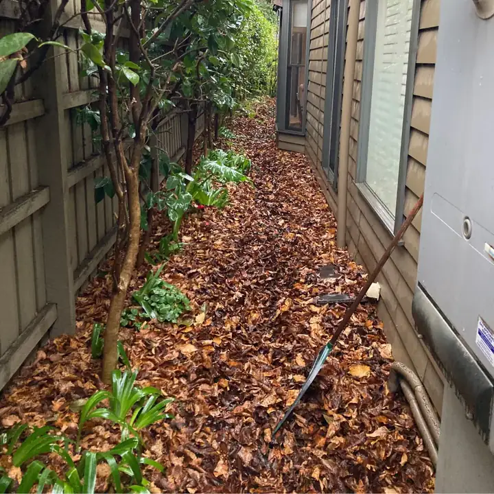 Well-maintained garden after a clean-up visit