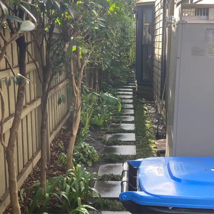 Garden clean-up result