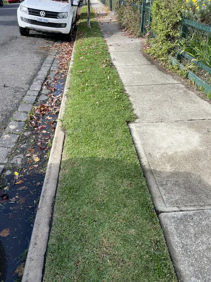 Clean lawn edging beside a path