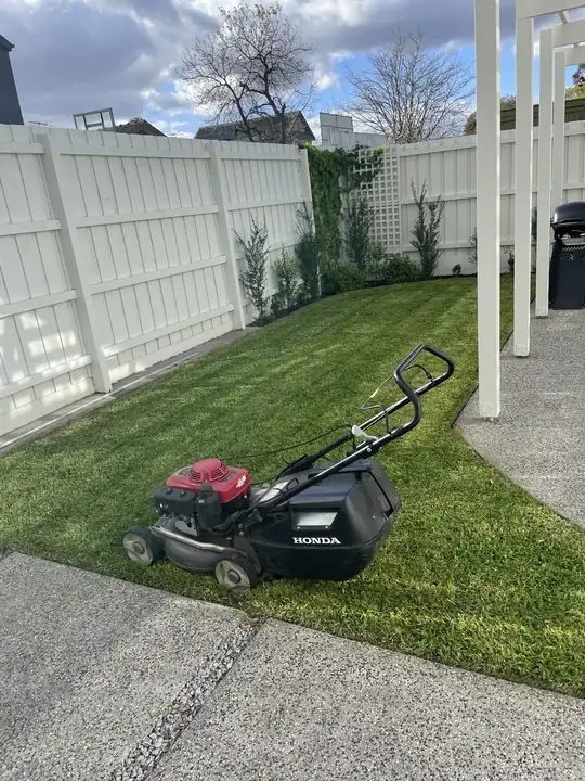 Freshly maintained residential lawn