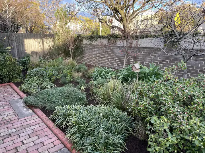 Mulched garden bed