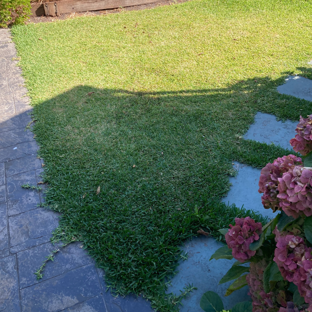 Before
